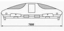 Maglev train